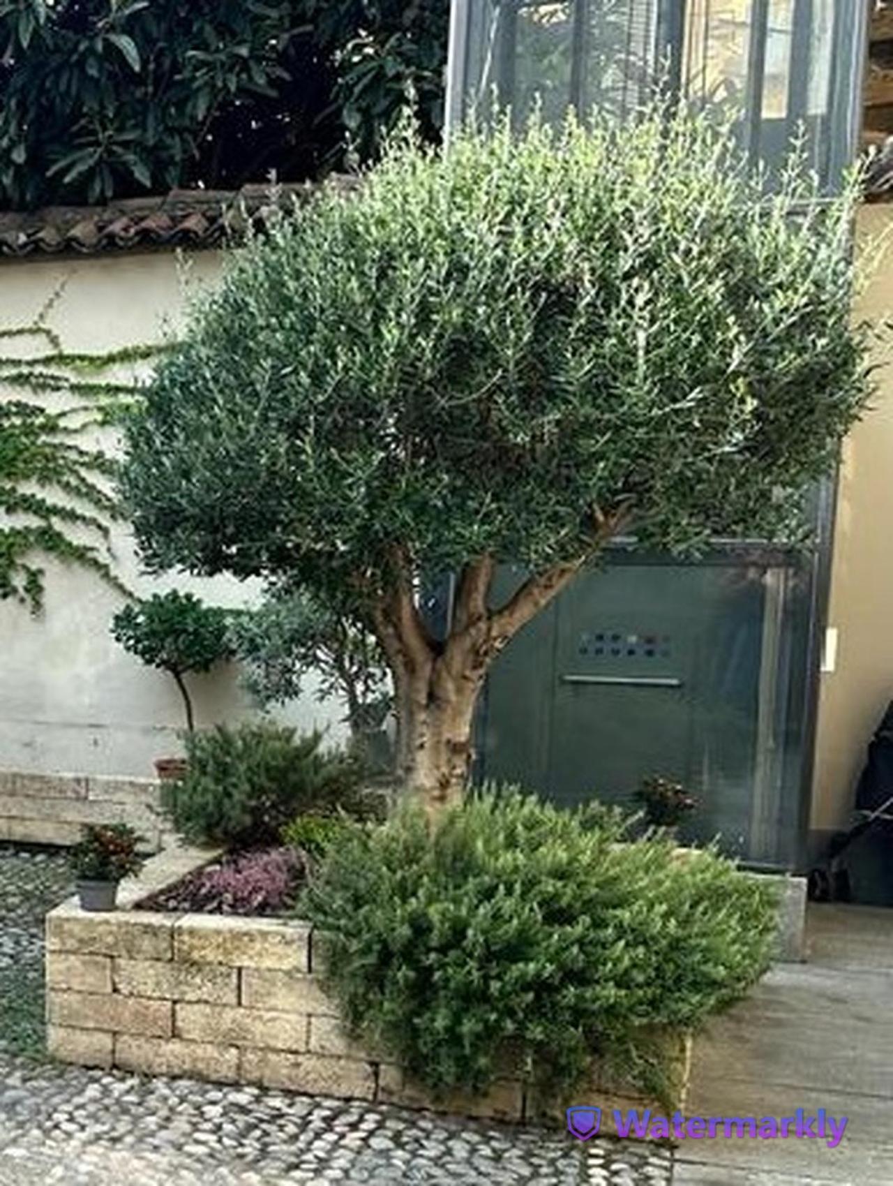 Apartmán Le Tre Ca', Ca' Cecilia, Ca' Nina, Ca' Vittoria Asti Exteriér fotografie